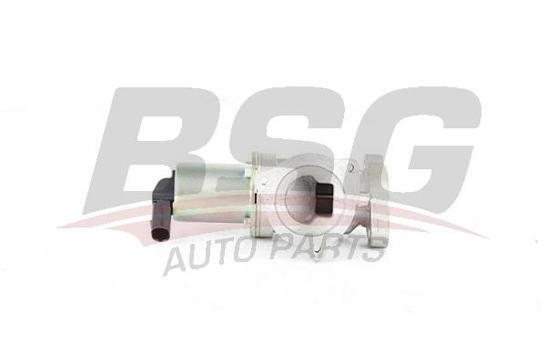 BSG 40-836-001 Ventil 40836001: Kaufen Sie zu einem guten Preis in Polen bei 2407.PL!