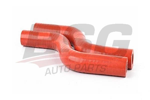 BSG 30-720-185 Charger Air Hose 30720185: Buy near me in Poland at 2407.PL - Good price!