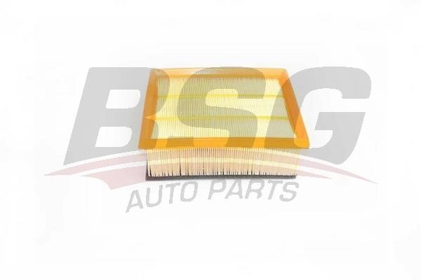 BSG 25-135-005 Air Filter 25135005: Buy near me at 2407.PL in Poland at an Affordable price!