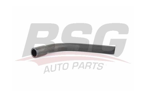 BSG 65-720-158 Hose, crankcase breather 65720158: Buy near me in Poland at 2407.PL - Good price!