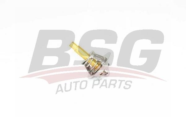 BSG 60-125-004 Thermostat, coolant 60125004: Buy near me in Poland at 2407.PL - Good price!
