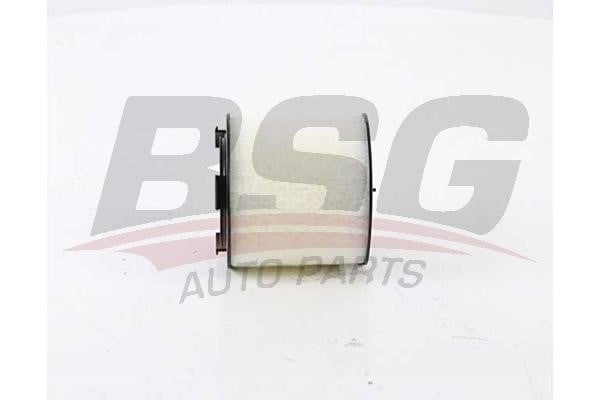 BSG 90-135-021 Air Filter 90135021: Buy near me at 2407.PL in Poland at an Affordable price!