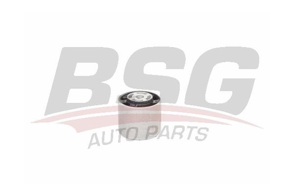 BSG 60-700-193 Mounting, differential 60700193: Buy near me in Poland at 2407.PL - Good price!