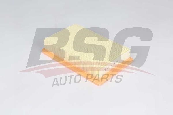 BSG 25-135-009 Air filter 25135009: Buy near me in Poland at 2407.PL - Good price!