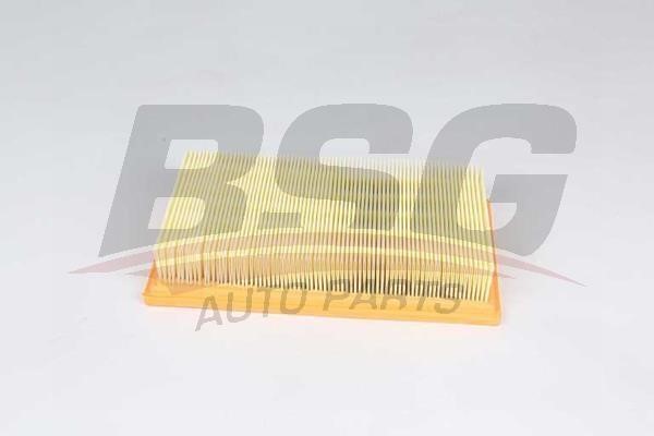 BSG 30-135-029 Air filter 30135029: Buy near me in Poland at 2407.PL - Good price!