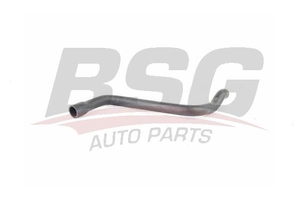 BSG 15-720-026 Hose, cylinder head cover breather 15720026: Buy near me in Poland at 2407.PL - Good price!