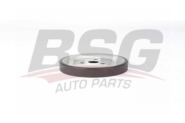 BSG 70-501-001 Idler Pulley 70501001: Buy near me in Poland at 2407.PL - Good price!