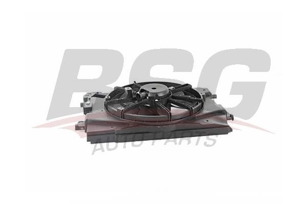 BSG 75-510-001 Hub, engine cooling fan wheel 75510001: Buy near me in Poland at 2407.PL - Good price!