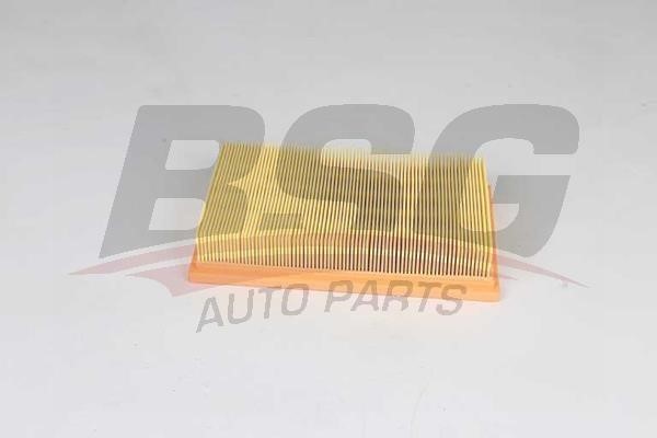 BSG 65-135-024 Air filter 65135024: Buy near me at 2407.PL in Poland at an Affordable price!