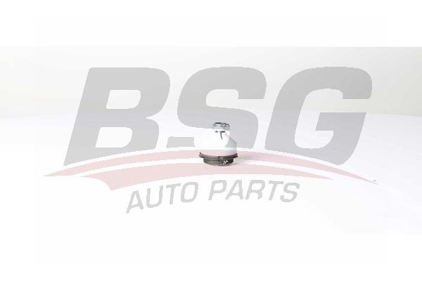 BSG 70-310-072 Ball joint 70310072: Buy near me in Poland at 2407.PL - Good price!