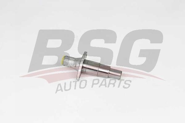 BSG 60-109-019 Timing Chain Tensioner 60109019: Buy near me in Poland at 2407.PL - Good price!