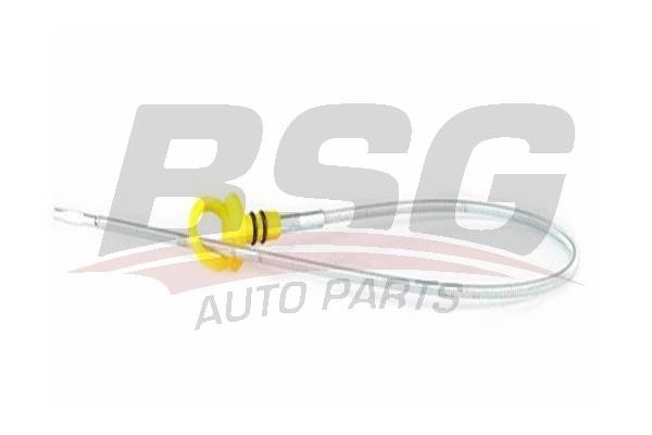 BSG 65-123-001 Oil dipstick guide tube 65123001: Buy near me at 2407.PL in Poland at an Affordable price!