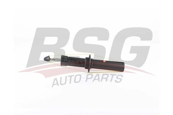 BSG 15-300-039 Rear oil and gas suspension shock absorber 15300039: Buy near me in Poland at 2407.PL - Good price!