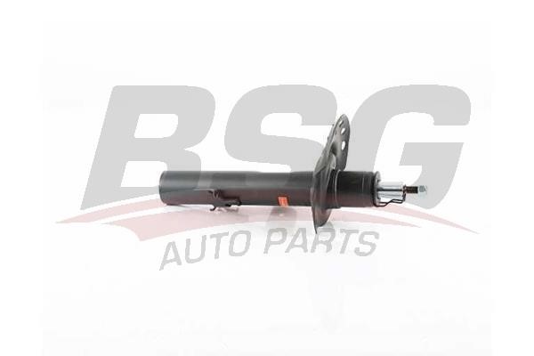 BSG 15-300-053 Rear right gas oil shock absorber 15300053: Buy near me in Poland at 2407.PL - Good price!