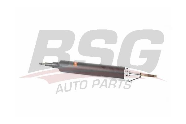 BSG 15-300-044 Rear oil and gas suspension shock absorber 15300044: Buy near me in Poland at 2407.PL - Good price!