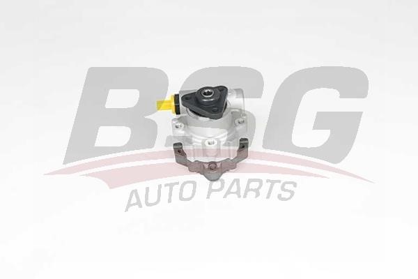 BSG 15-355-019 Hydraulic Pump, steering system 15355019: Buy near me in Poland at 2407.PL - Good price!