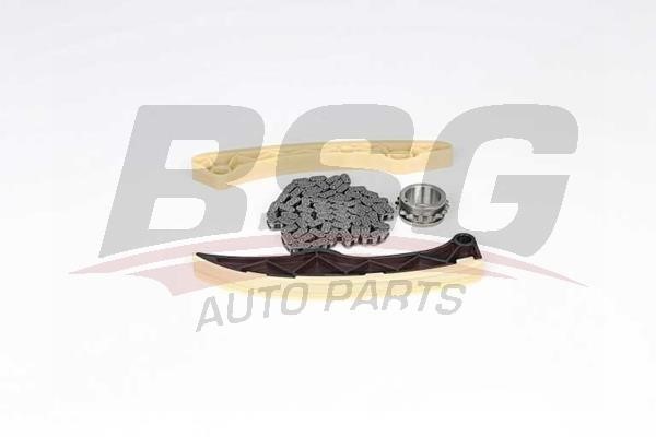 BSG 40-102-005 Timing chain kit 40102005: Buy near me in Poland at 2407.PL - Good price!