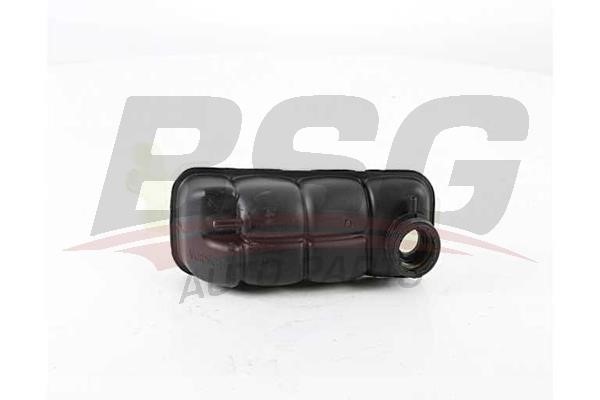 BSG 60-550-008 Expansion Tank, coolant 60550008: Buy near me in Poland at 2407.PL - Good price!