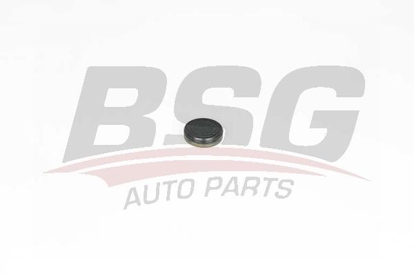BSG 60-109-018 Locking Cover, camshaft 60109018: Buy near me in Poland at 2407.PL - Good price!
