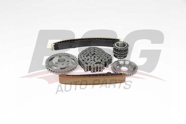 BSG 60-102-002 Timing chain kit 60102002: Buy near me in Poland at 2407.PL - Good price!