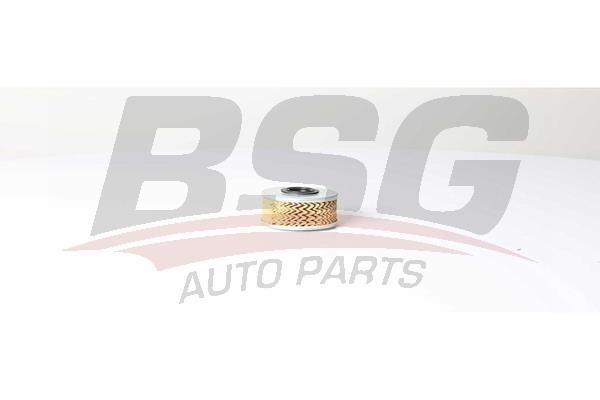 BSG 75-130-009 Fuel filter 75130009: Buy near me in Poland at 2407.PL - Good price!