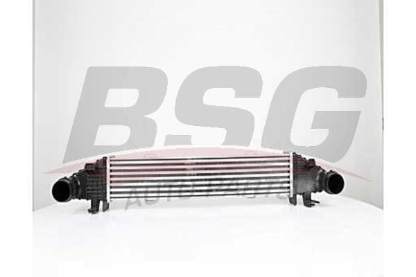 BSG 60-535-004 Intercooler, charger 60535004: Buy near me in Poland at 2407.PL - Good price!