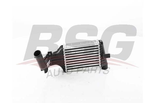 BSG 65-535-004 Intercooler, charger 65535004: Buy near me in Poland at 2407.PL - Good price!