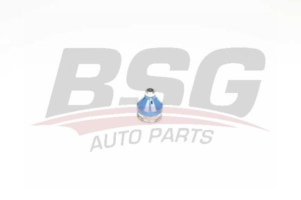 BSG 75-310-044 Ball joint 75310044: Buy near me in Poland at 2407.PL - Good price!