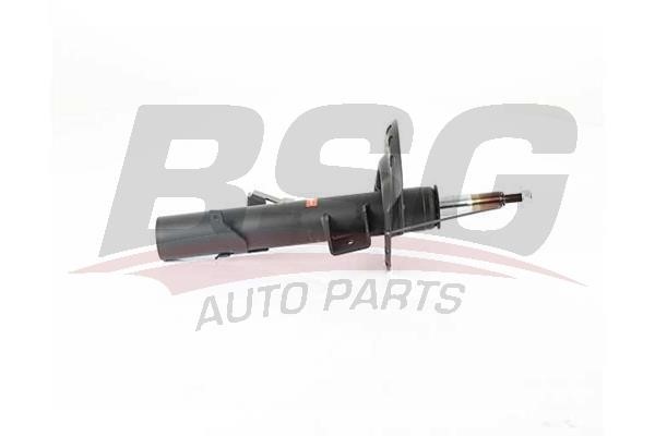 BSG 15-300-051 Front Left Gas Oil Suspension Shock Absorber 15300051: Buy near me in Poland at 2407.PL - Good price!