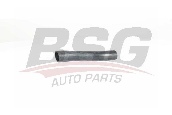 BSG 30-720-252 Fuel filler neck 30720252: Buy near me in Poland at 2407.PL - Good price!