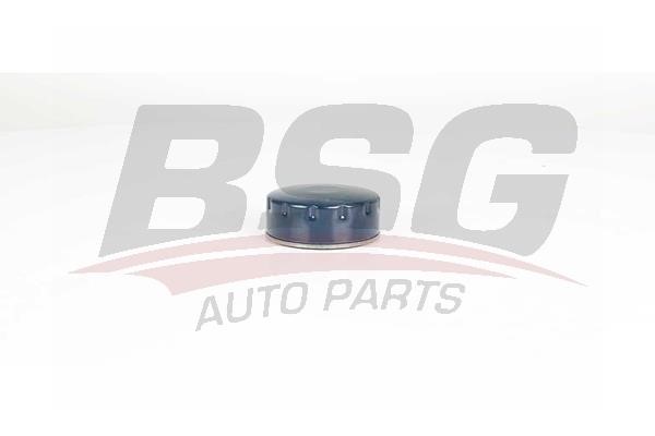 BSG 75-140-005 Oil Filter 75140005: Buy near me at 2407.PL in Poland at an Affordable price!