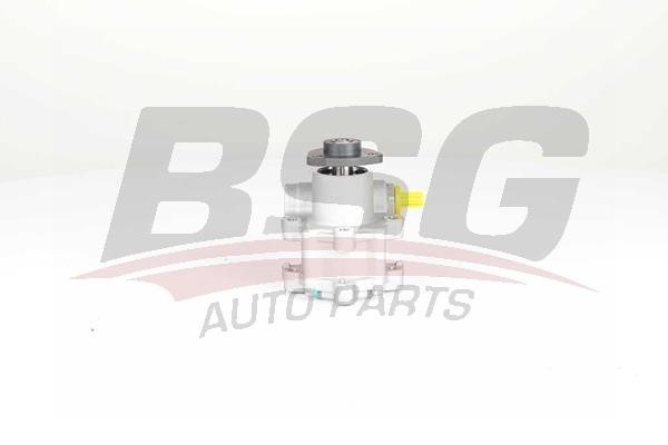BSG 15-355-017 Hydraulic Pump, steering system 15355017: Buy near me in Poland at 2407.PL - Good price!