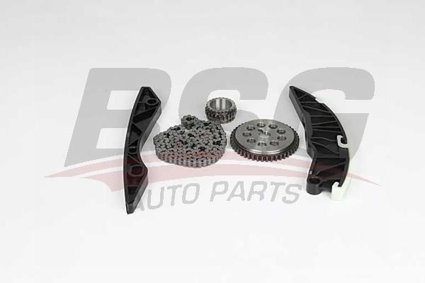 BSG 40-102-002 Timing chain kit 40102002: Buy near me in Poland at 2407.PL - Good price!