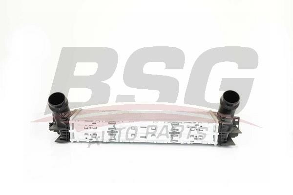 BSG 15-535-002 Интеркулер 15535002: Отличная цена - Купить в Польше на 2407.PL!