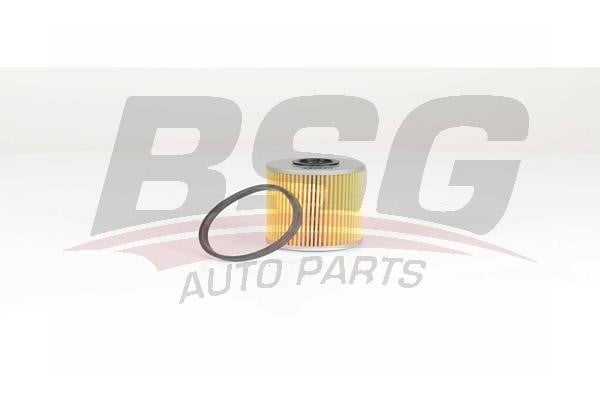 BSG 65-130-010 Fuel filter 65130010: Buy near me in Poland at 2407.PL - Good price!