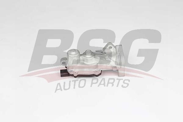 BSG 65-836-014 EGR Valve 65836014: Buy near me at 2407.PL in Poland at an Affordable price!