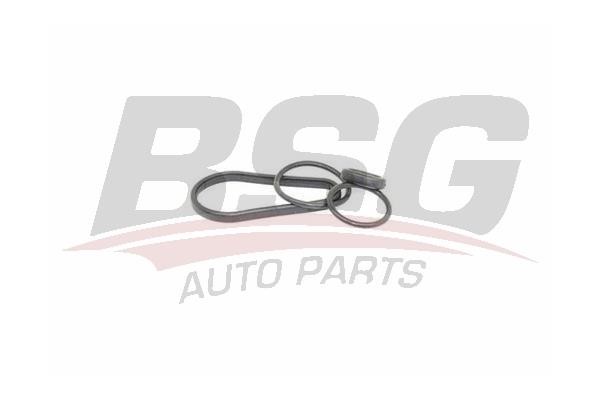BSG 60-116-001 Seal, oil cooler 60116001: Buy near me in Poland at 2407.PL - Good price!
