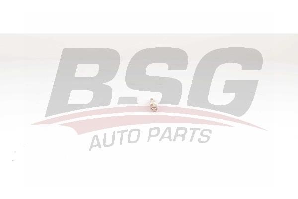 BSG 15-870-005 Glow plug 15870005: Buy near me at 2407.PL in Poland at an Affordable price!