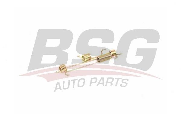 BSG 30-260-010 Mounting kit brake pads 30260010: Buy near me in Poland at 2407.PL - Good price!