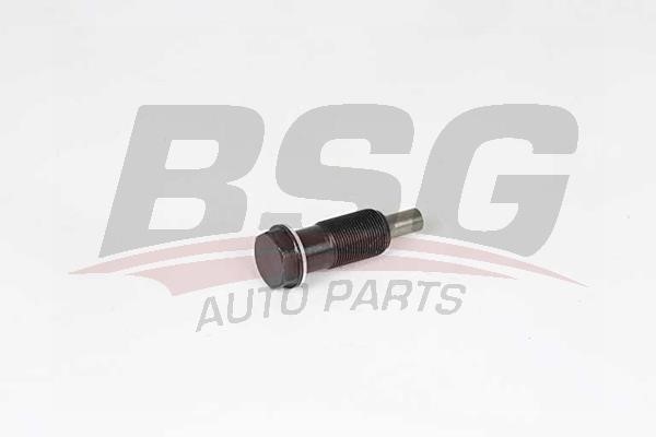 BSG 60-109-011 Timing Chain Tensioner 60109011: Buy near me in Poland at 2407.PL - Good price!