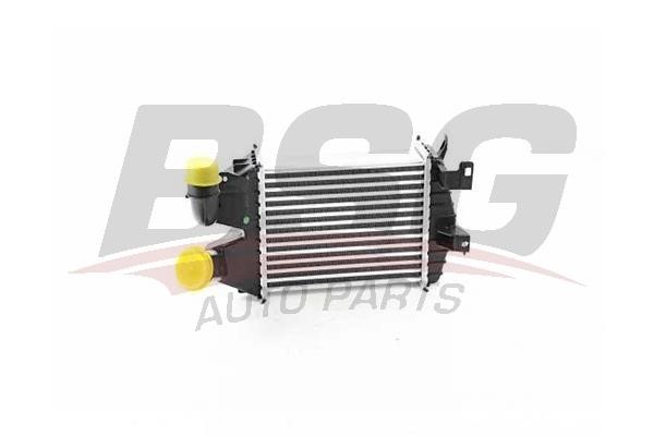 BSG 65-535-006 Intercooler, charger 65535006: Buy near me in Poland at 2407.PL - Good price!