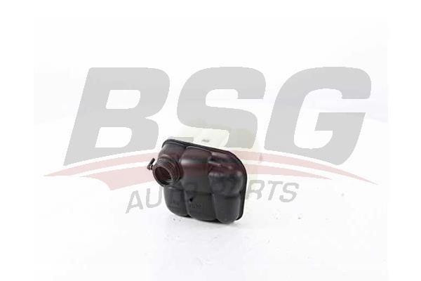BSG 60-550-001 Компенсационный бак, охлаждающая жидкость 60550001: Отличная цена - Купить в Польше на 2407.PL!