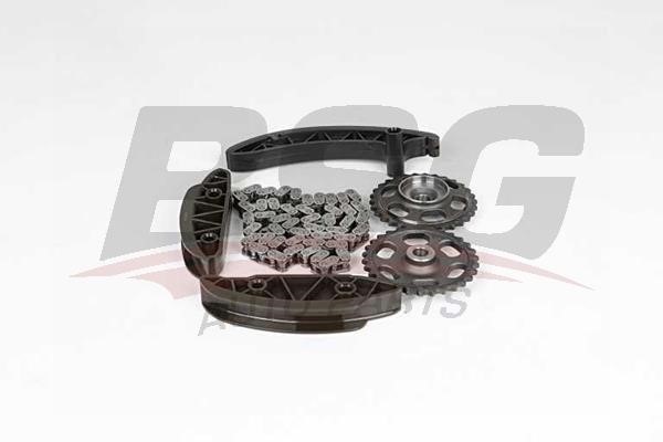BSG 60-102-009 Timing chain kit 60102009: Buy near me in Poland at 2407.PL - Good price!
