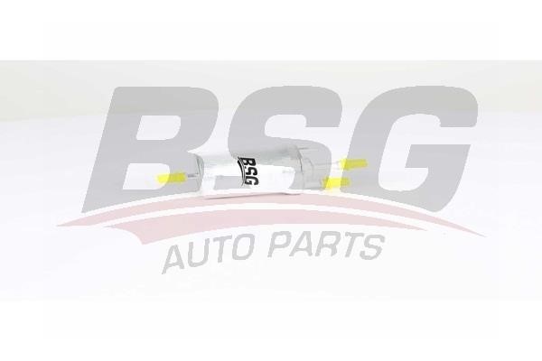 BSG 90-130-018 Fuel filter 90130018: Buy near me at 2407.PL in Poland at an Affordable price!