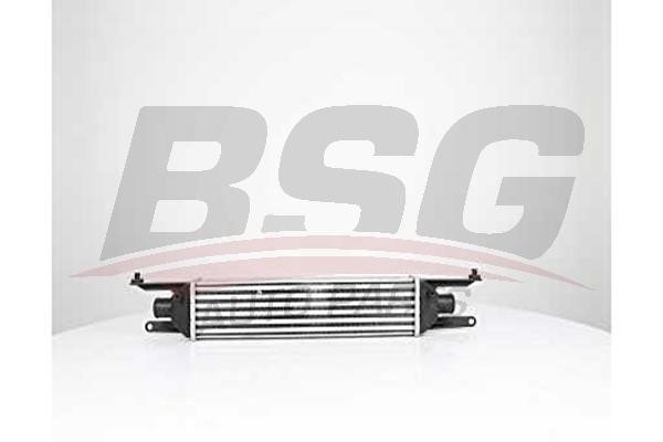 BSG 75-535-010 Chłodnica powietrza doładowującego (intercooler) 75535010: Dobra cena w Polsce na 2407.PL - Kup Teraz!