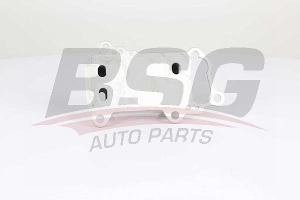 BSG 15-506-021 Oil Cooler, engine oil 15506021: Buy near me in Poland at 2407.PL - Good price!