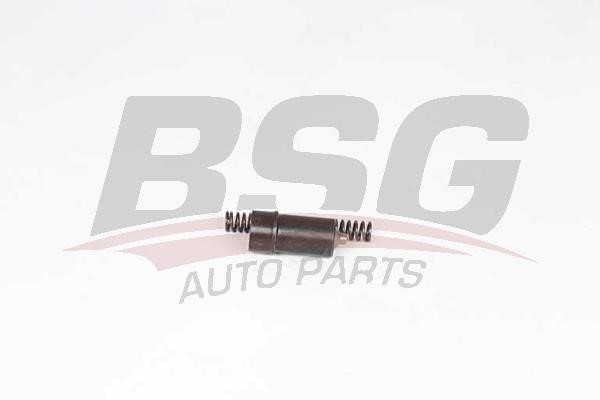 BSG 60-109-016 Timing Chain Tensioner 60109016: Buy near me in Poland at 2407.PL - Good price!