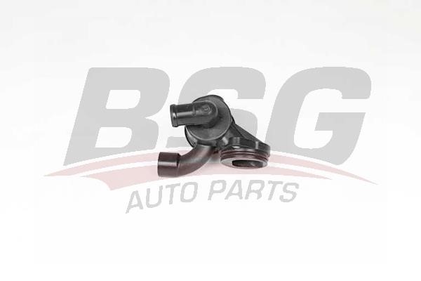 BSG 90-126-054 Thermostat, coolant 90126054: Buy near me in Poland at 2407.PL - Good price!