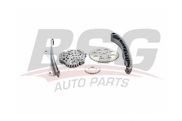 BSG 25-102-001 Timing chain kit 25102001: Buy near me in Poland at 2407.PL - Good price!