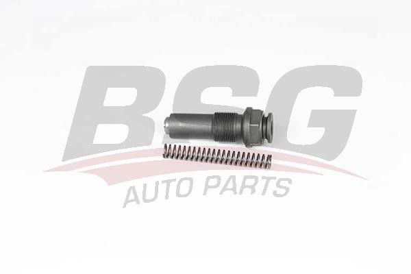 BSG 60-109-024 Timing Chain Tensioner 60109024: Buy near me at 2407.PL in Poland at an Affordable price!